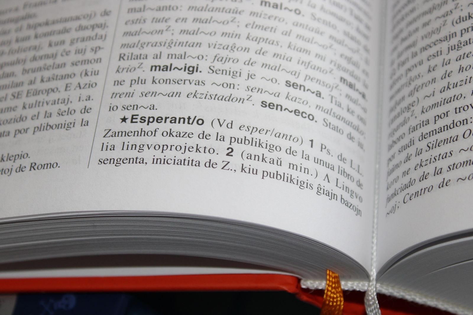 Close-up of an open dictionary page