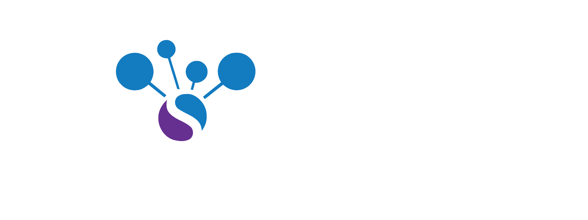 Synergy Systems Consultancy